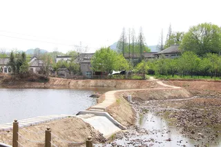 水塘弯曲小路摄影图