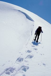冬季雪地图片下载 冬季雪地图片下载