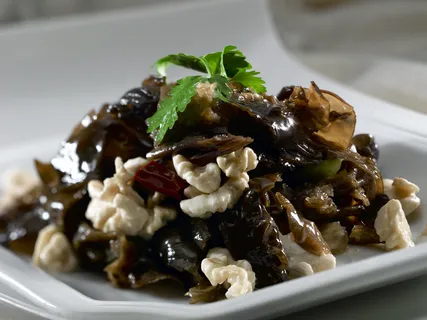 LCSC3105桃仁木耳25