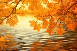 秋天枫叶红了水面倒影风景背景