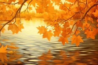 秋天枫叶红了水面倒影风景背景