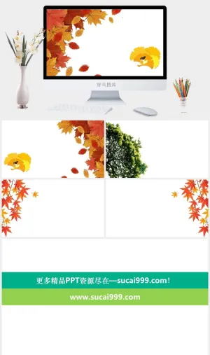 五张精美叶子PPT背景图片