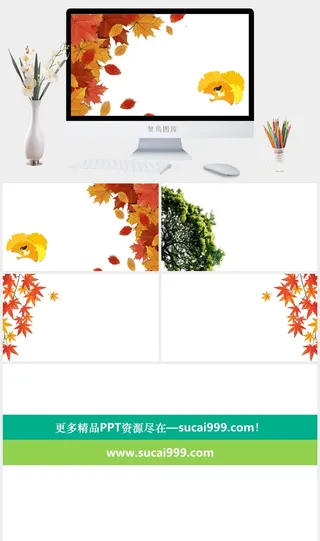 五张精美叶子PPT背景图片