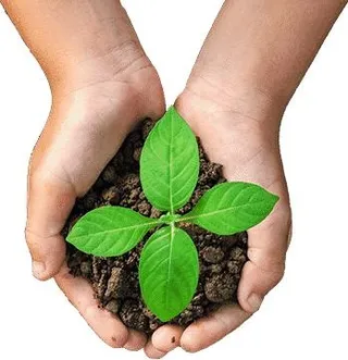 手中的泥土 PNG免抠