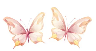 水彩粉色蝴蝶元素