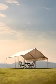 郊外露营玩耍背景