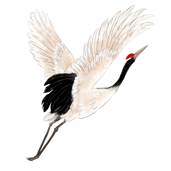 中国风古典中式国潮风手绘飞鹤图案仙鹤装饰素材PNG免抠插画元素