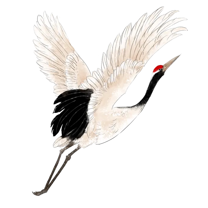 中国风古典中式国潮风手绘飞鹤图案仙鹤装饰素材PNG免抠插画元素
