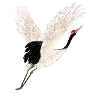 中国风古典中式国潮风手绘飞鹤图案仙鹤装饰素材PNG免抠插画元素 中国风古典中式国潮风手绘飞鹤图案仙鹤装饰素材PNG免抠插画元素