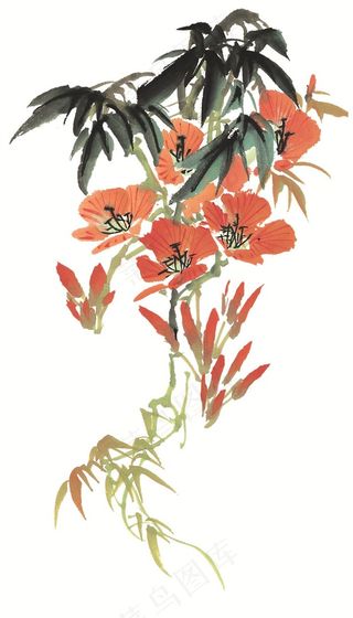 花卉欣赏jpg素材