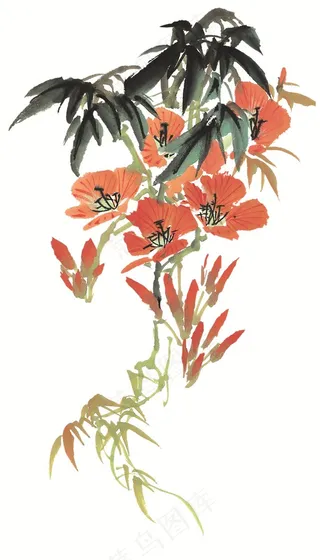 花卉欣赏jpg素材