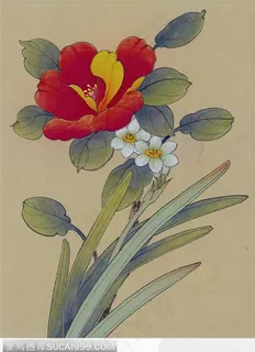 工笔画—茶花 工笔画—茶花