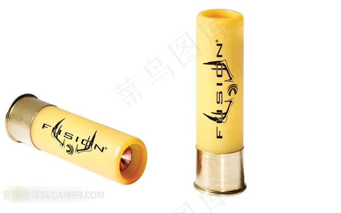 两个黄色散弹枪子弹