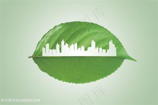 绿色城市和树叶