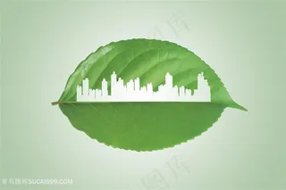 绿色城市和树叶