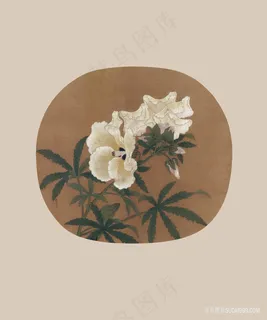 仟象古韵国画花卉花瓣喇叭花