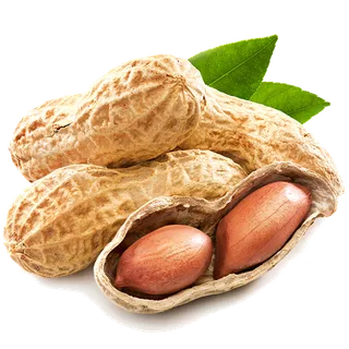 80花生干果超市商品白底图免抠实物摄影png格式图片透明底