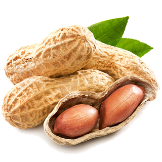 80花生干果超市商品白底图免抠实物摄影png格式图片透明底