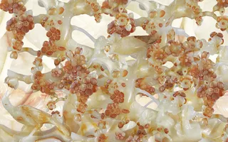 雕塑玉雕背景风景