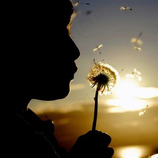 吹蒲公英的人