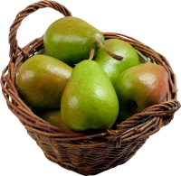 27_pear_PNG3456