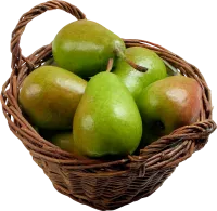 27_pear_PNG3456