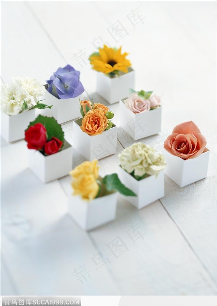 花卉礼盒