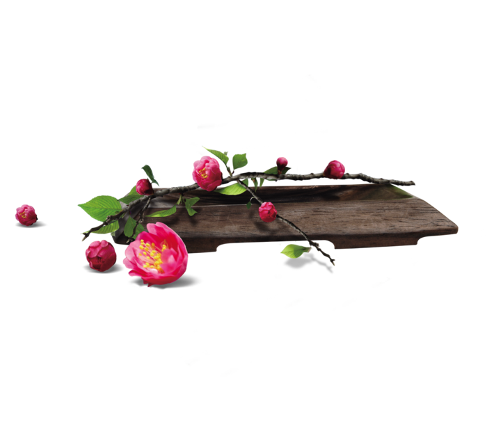 古典元素茶台和花