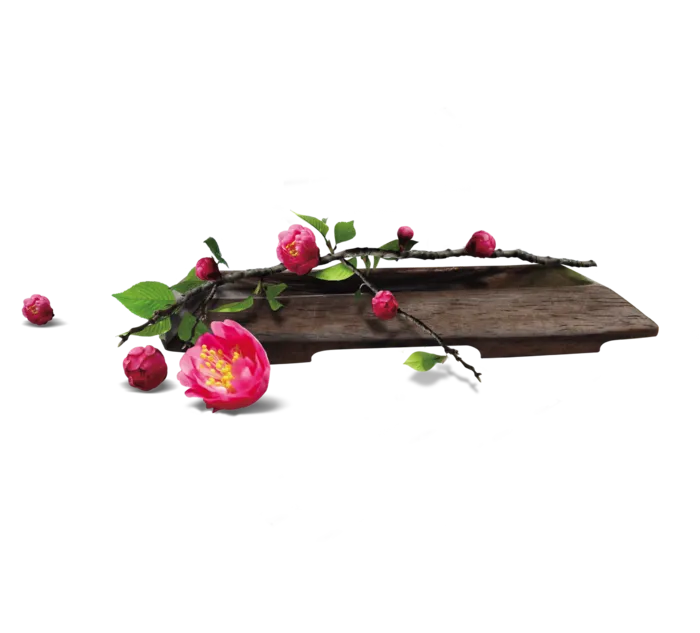 古典元素茶台和花