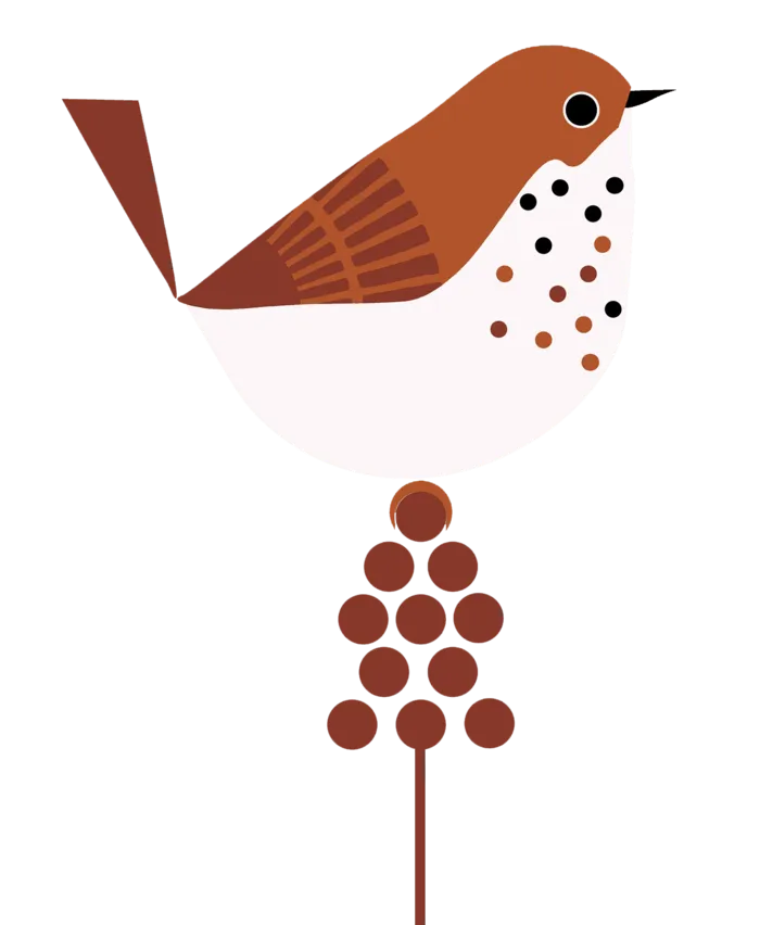 小鸟装饰背景png