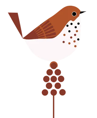 小鸟装饰背景png