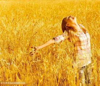 美女稻田张开双臂风景图片