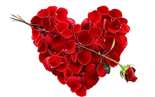 玫瑰花爱心素材