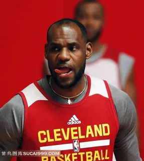 骑士巨星勒布朗詹姆斯特写