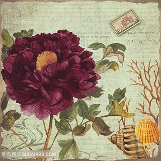 欧式花朵装饰画