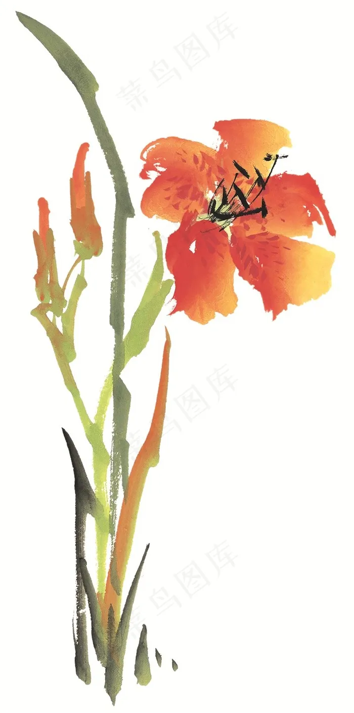 写意花卉欣赏图片素材