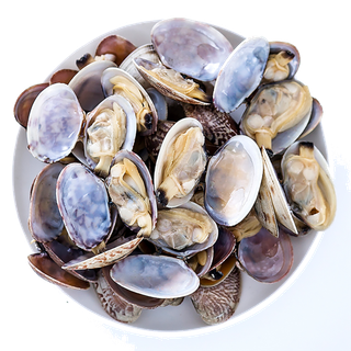 花蛤 (2)海鲜超市商品红酒白底图免抠实物摄影png格式图片透明底