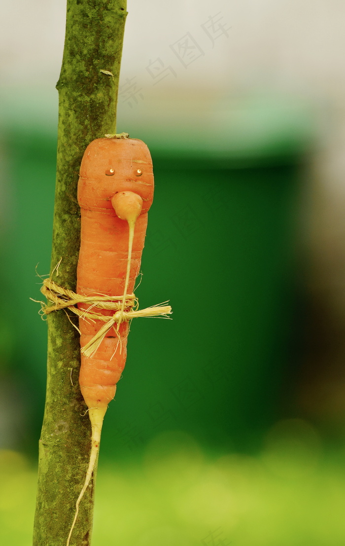 胡萝卜另类图片