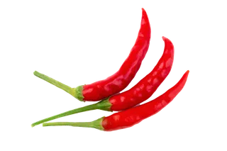 红辣椒 (4)超市商品白底图免抠实物摄影png格式图片透明底