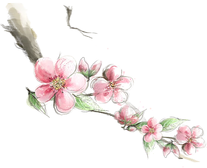 粉色简约风手绘鲜花花朵水墨画PNG素材图片 (95)