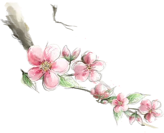 粉色简约风手绘鲜花花朵水墨画PNG素材图片 (95)