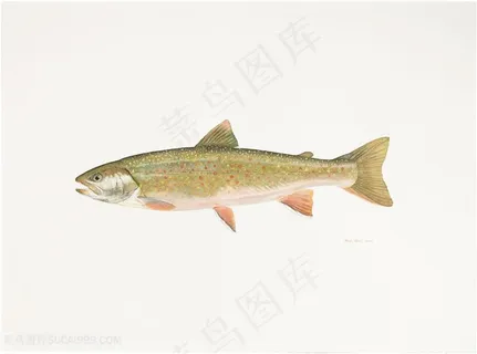 唯美游鱼彩绘装饰画插画素材 唯美游鱼彩绘装饰画插画素材