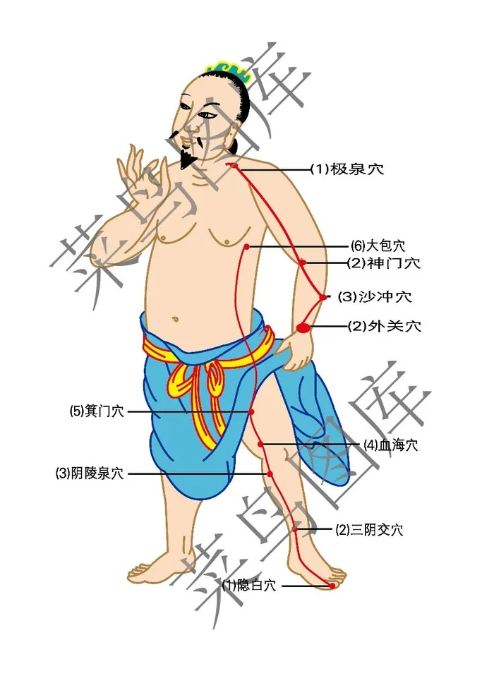 人体穴道高清ai矢量模版下载