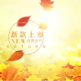 秋叶主图黄色主图