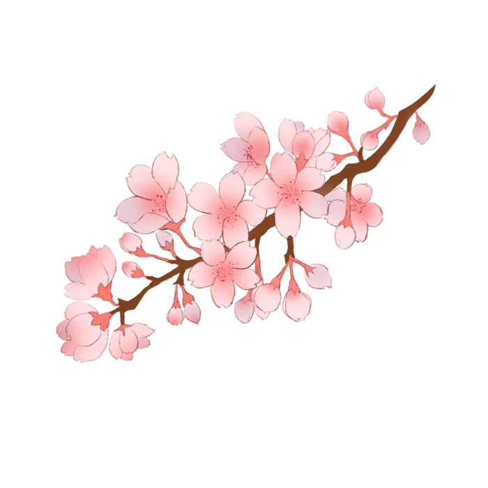 春天浪漫粉红色樱花手绘樱花梅花桃花花朵图片PNG免扣素材