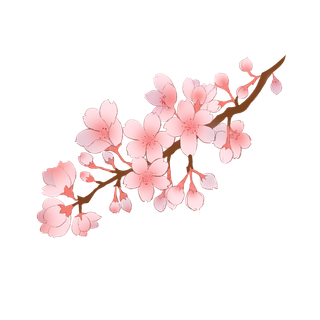 春天浪漫粉红色樱花手绘樱花梅花桃花花朵图片PNG免扣素材