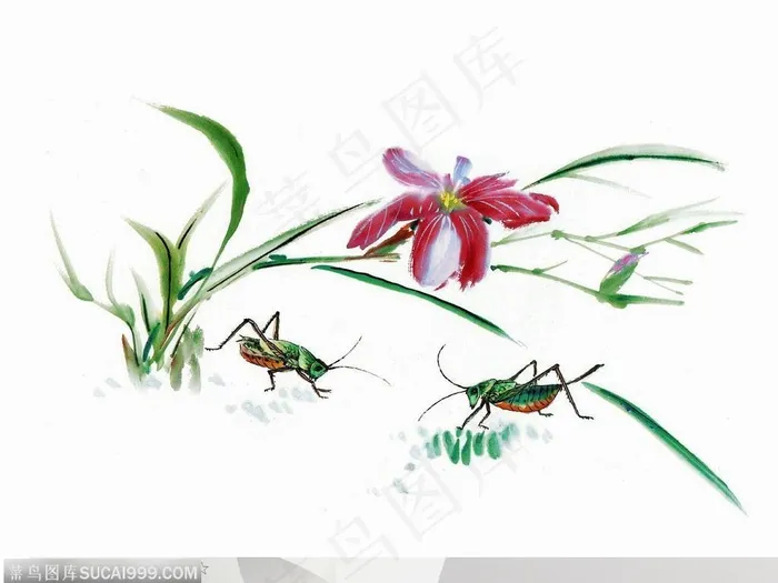 昆虫水墨画-斗蛐蛐兰花国画