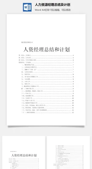 人力资源经理总结及计划word模板