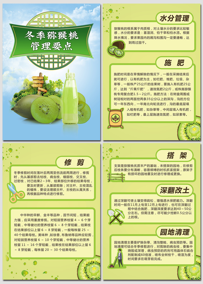 猕猴桃管理要点农业技术海报