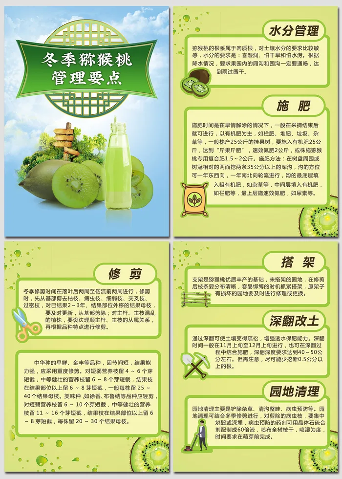 猕猴桃管理要点农业技术海报psd模版下载